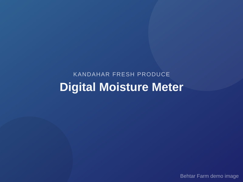 Digital Moisture Meter