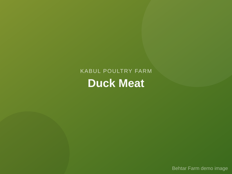 Duck Meat